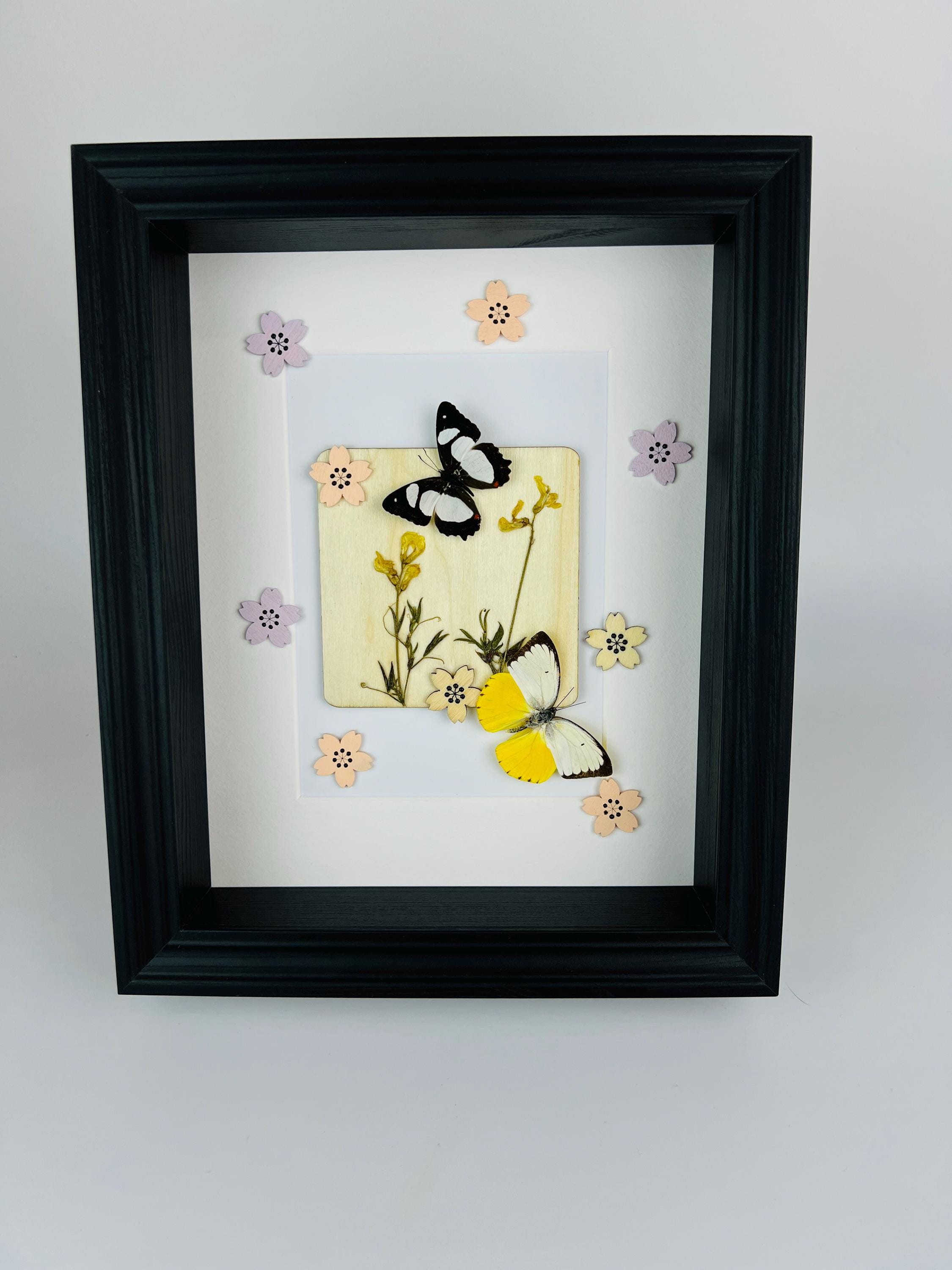 Schmetterlinge mit Trockenblumen und Dekoration im Rahmen