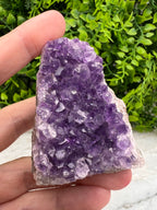 Amethist cluster cut base