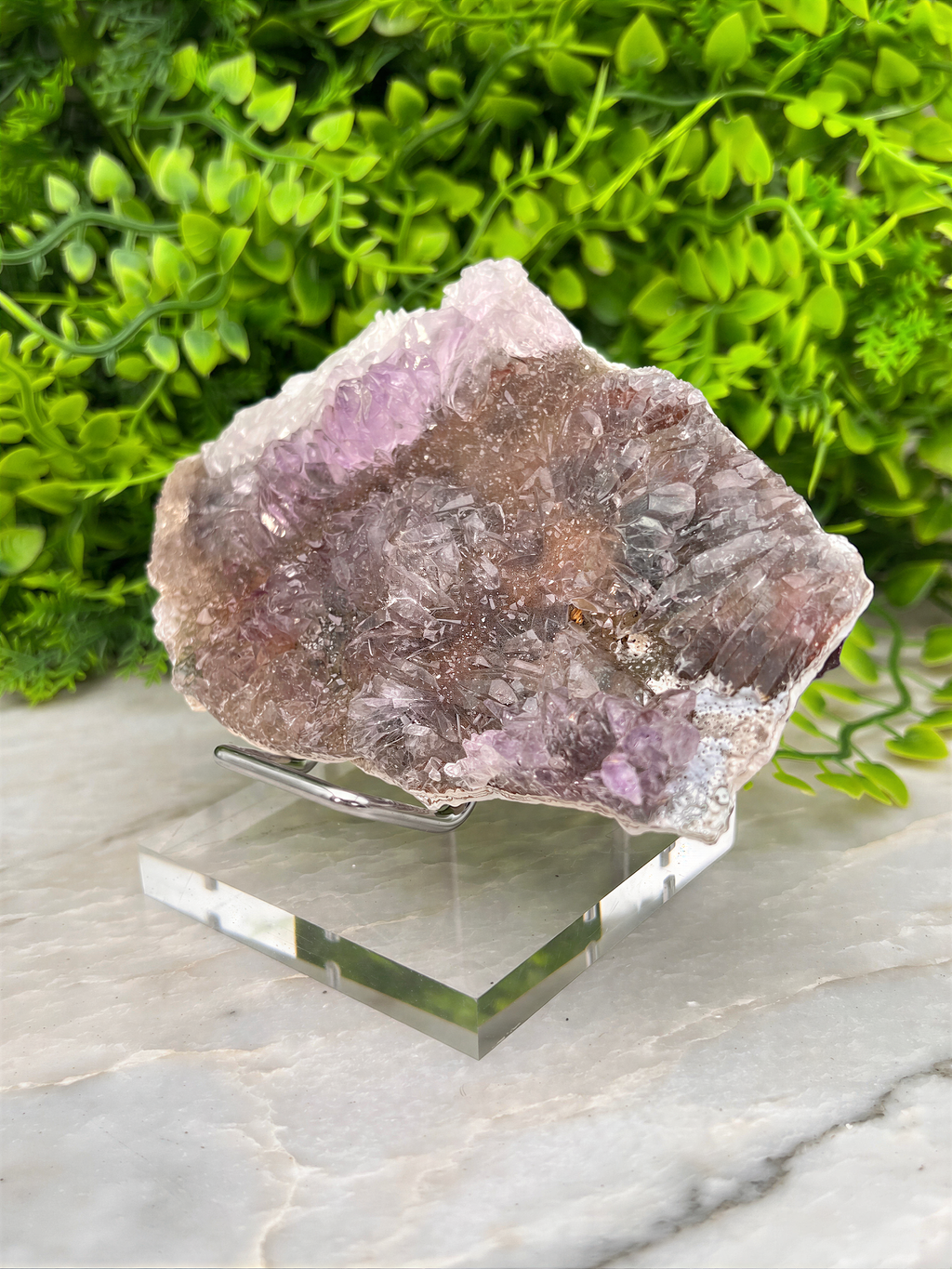 A piece of amethyst crystal is displayed on a clear glass stand, surrounded by lush green foliage.