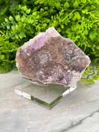 A piece of amethyst crystal is displayed on a clear glass stand, surrounded by lush green foliage.