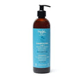 Aleppo 2-in-1 Shampoo for Normal Hair, Organic (500 ml)