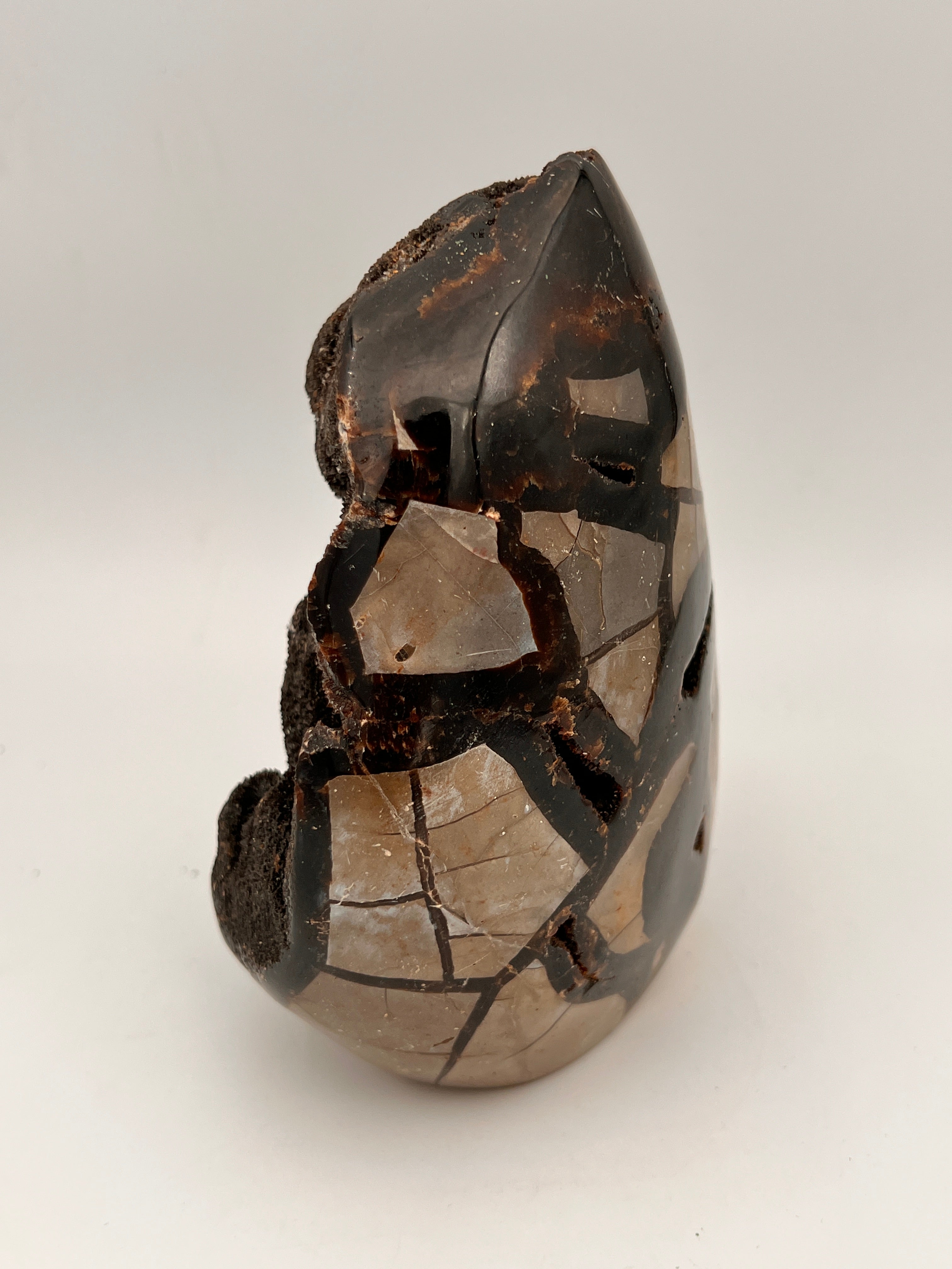 Septarie ei cutbase (drakenei) 1.18 kg