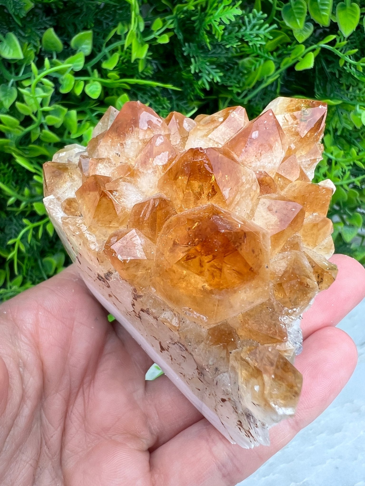 Citrin (gebrannter Amethyst) – Cluster (8 cm) von KEY LIME STORE