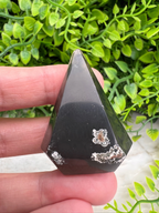 A hand holding a black, triangular-shaped crystal against a background of green foliage.