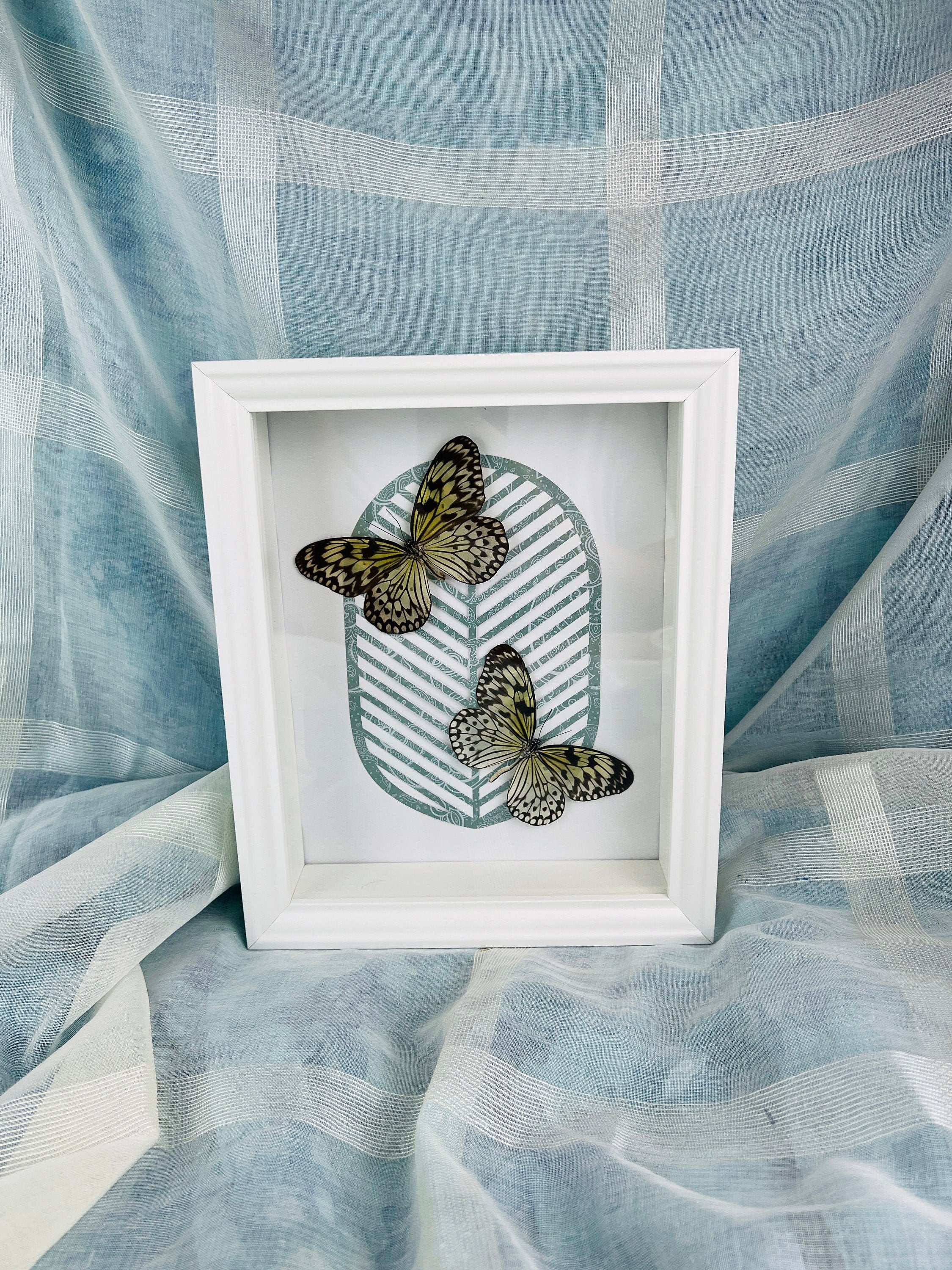 Idea Leuconoe op print in lijst