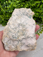 a person holding a rock in their hand