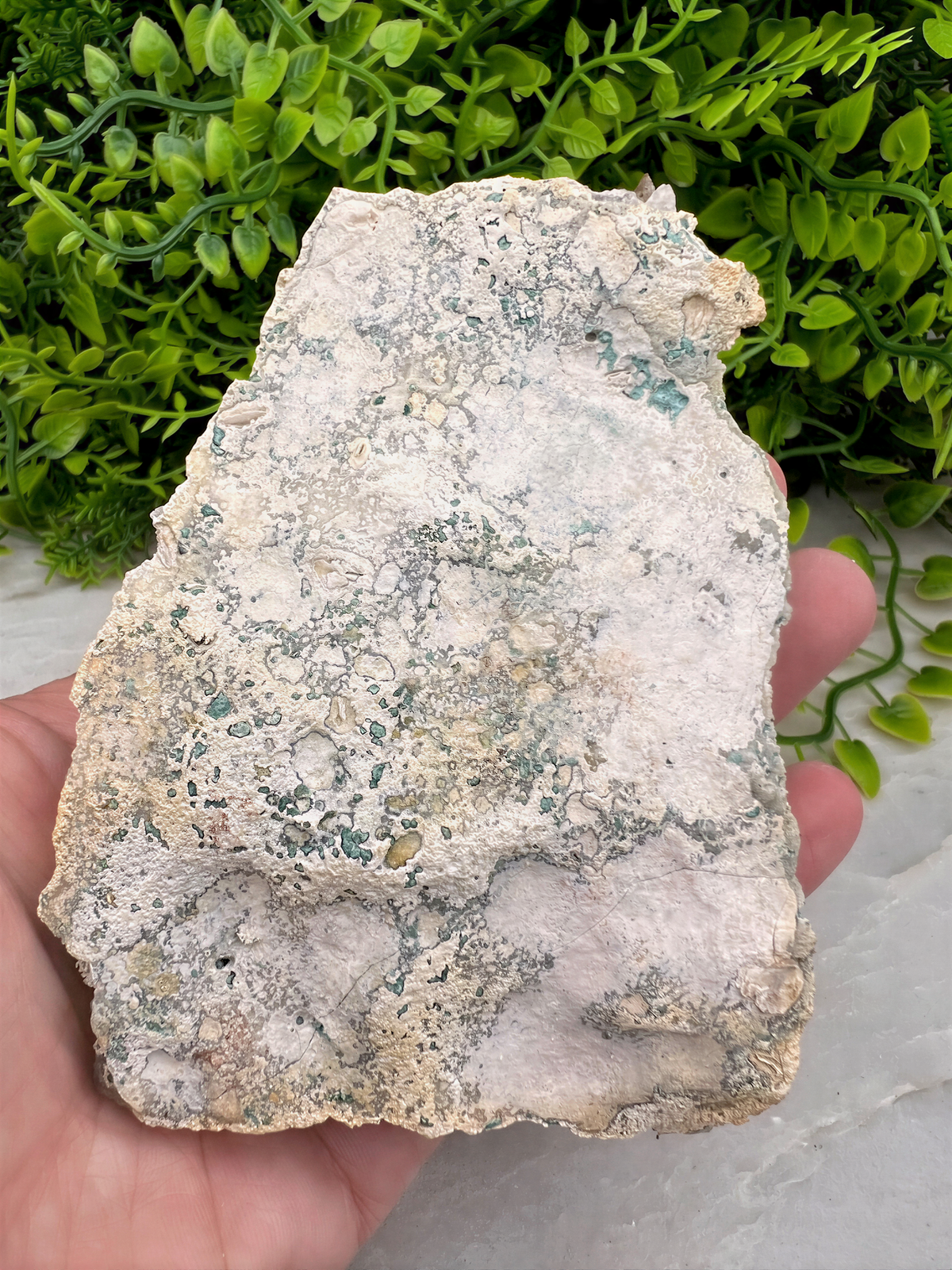 a person holding a rock in their hand