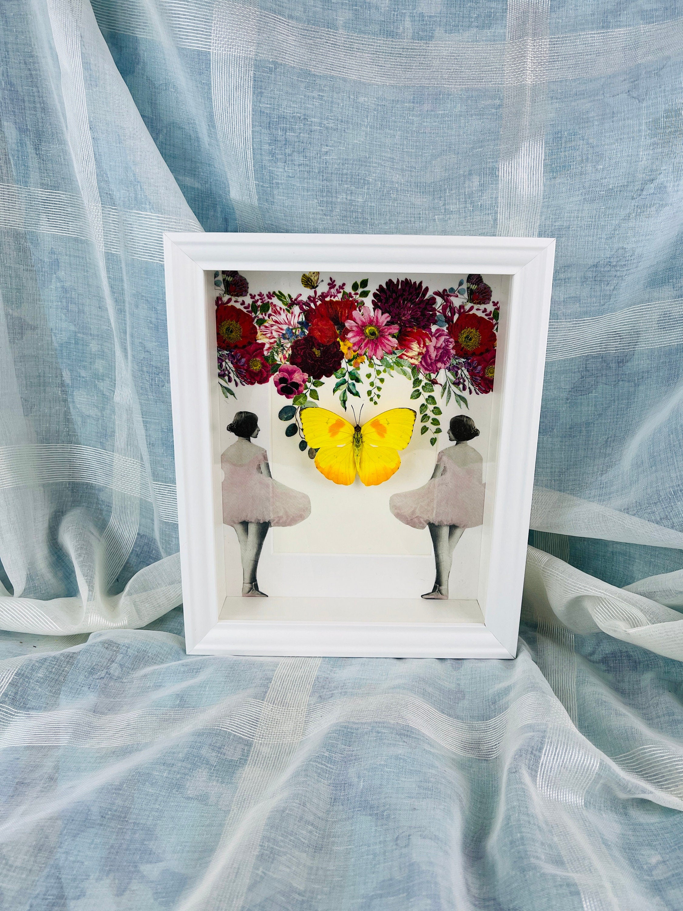 Butterfly Specimen Display - Phoebis Philea Framed with Elegant Decoration