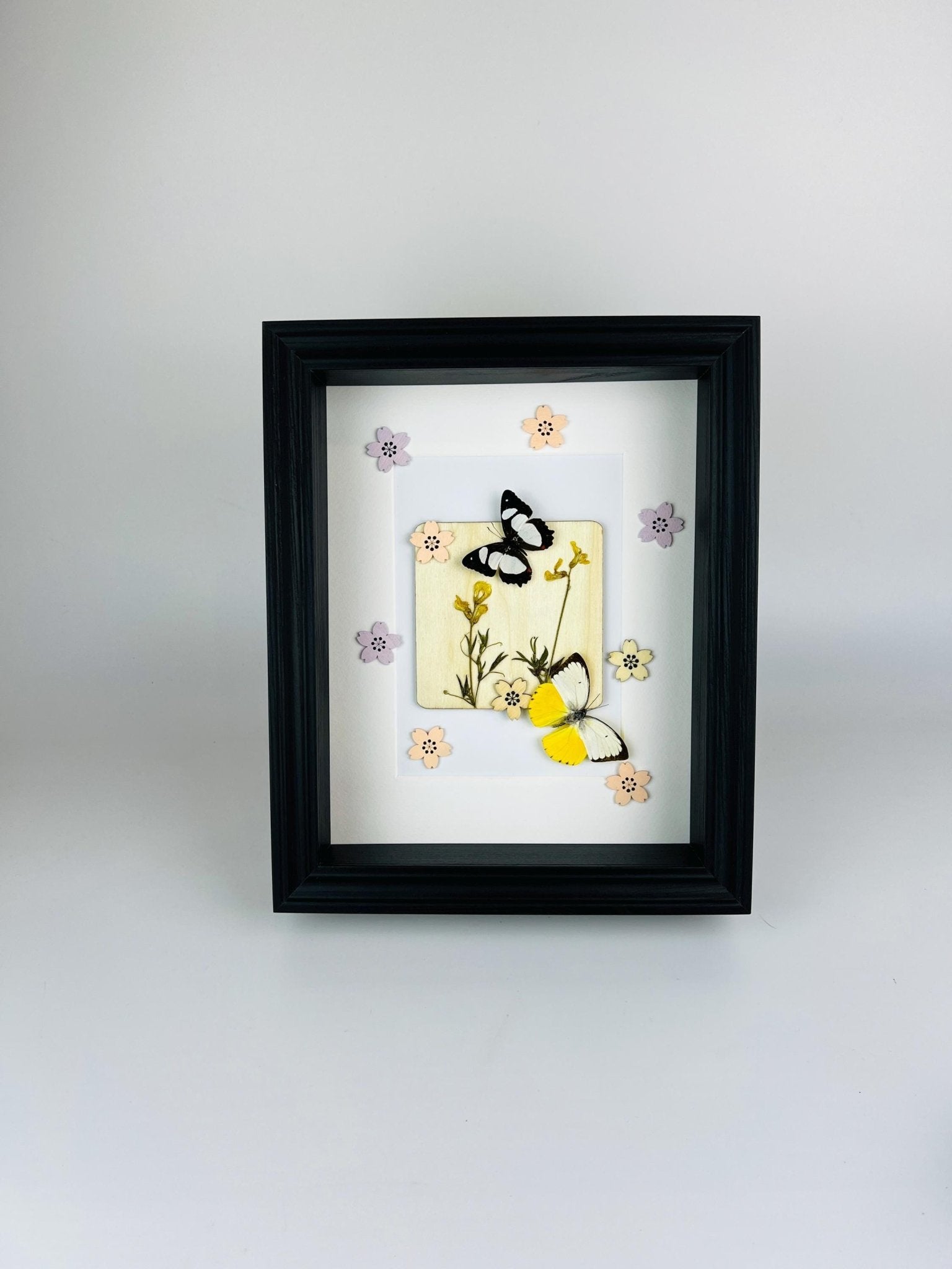 Schmetterlinge mit Trockenblumen und Dekoration im Rahmen von KEY LIME STORE