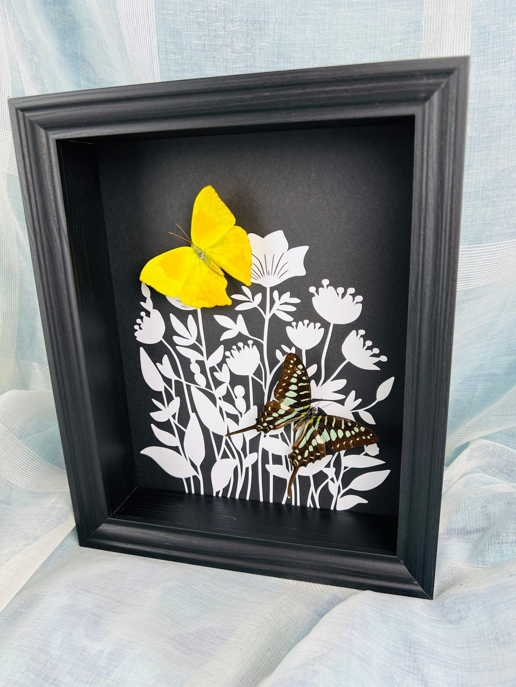 Phoebis Rurina und Graphium Antheus als Druck in einem Rahmen von KEY LIME STORE