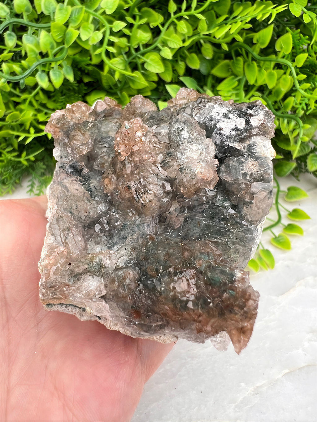 A hand is holding a piece of rock with a unique, multicolored crystal formation, set against a backdrop of green foliage.