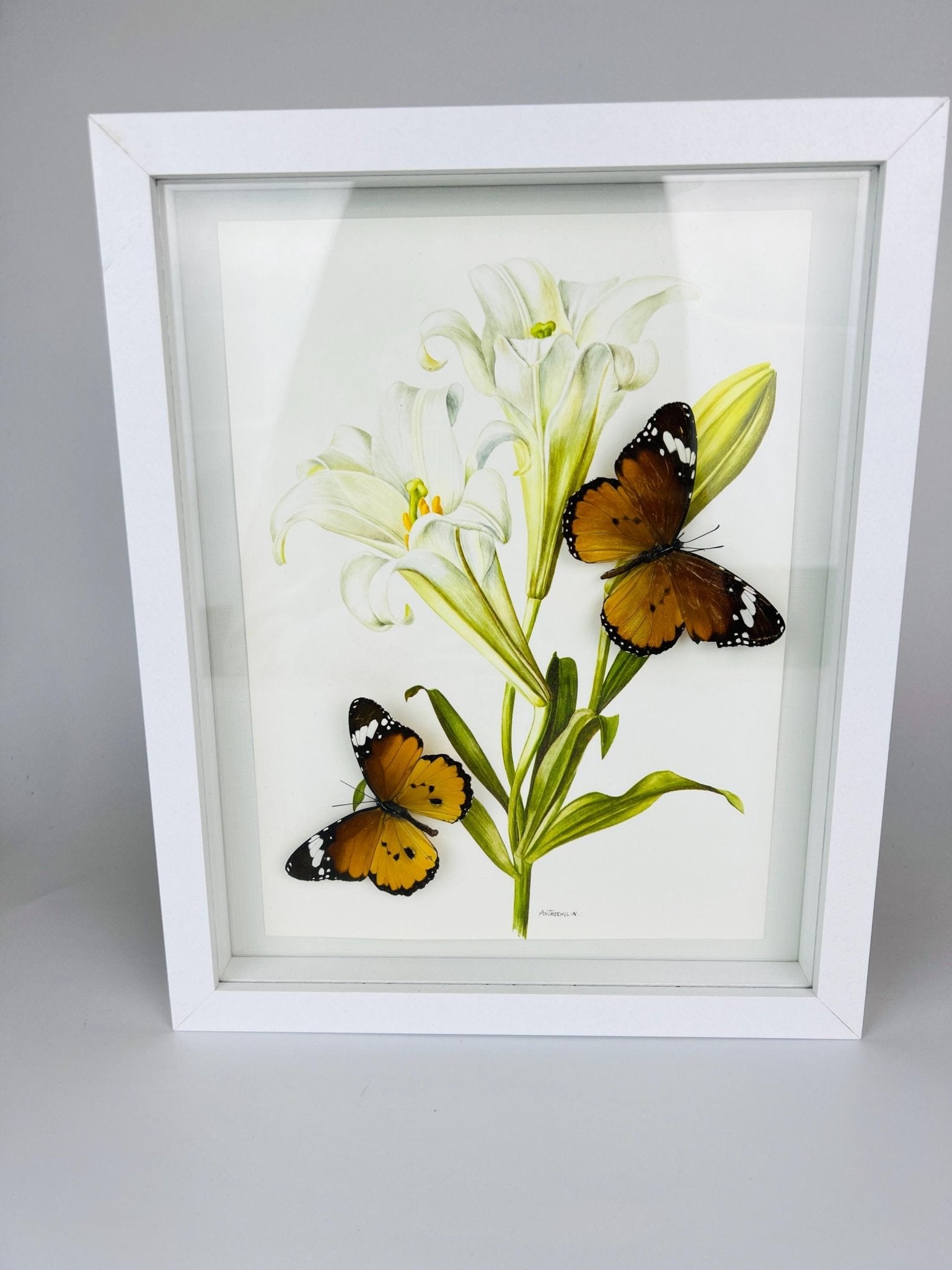Danaus Chrysippus op vintage bloemenprint in lijst by KEY LIME STORE