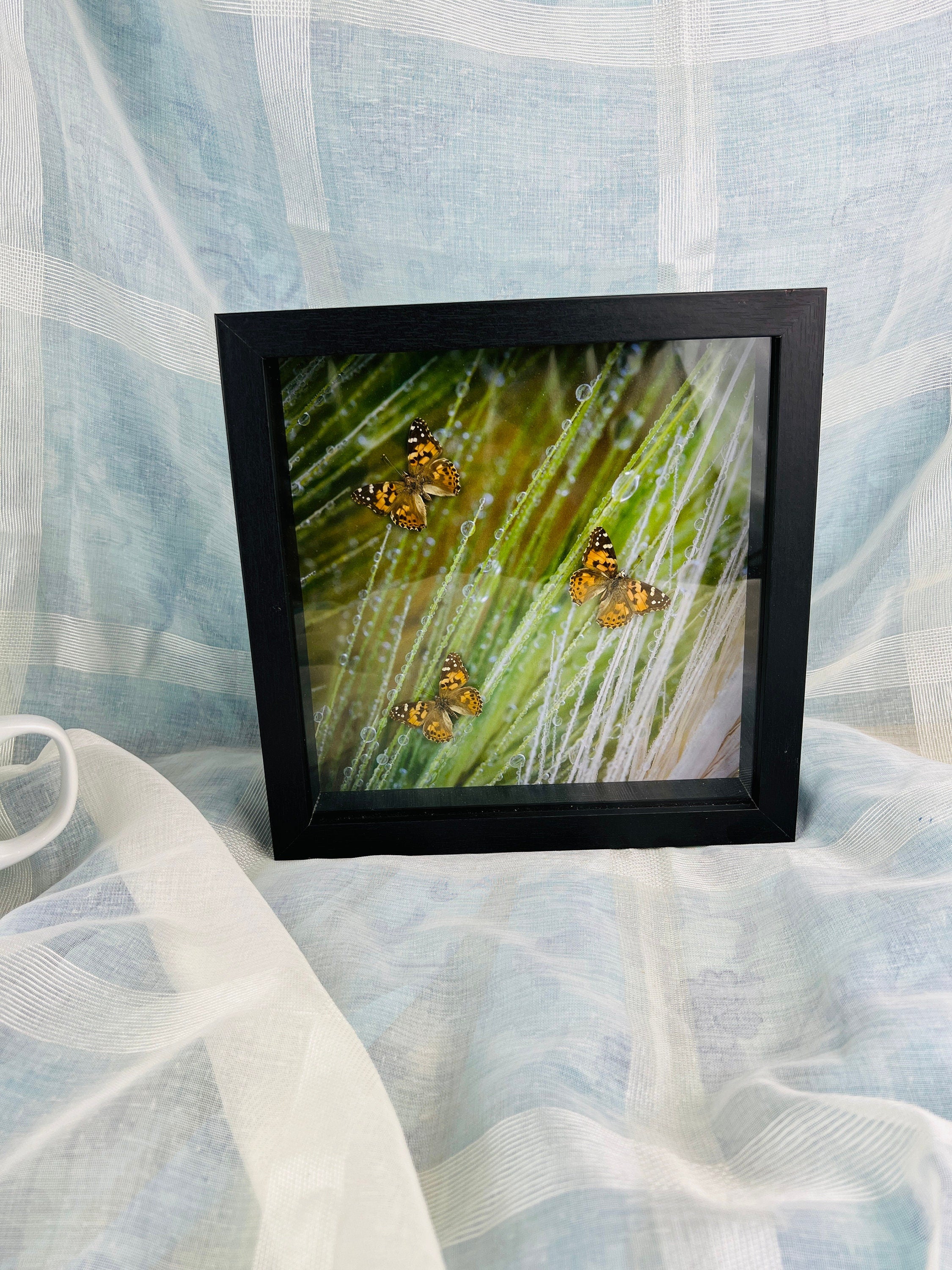 Unique Wall Decor: Framed Vanessa Cardui Butterflies and Photo Print