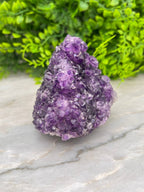 Amethist cluster pine by KEY LIME STORE