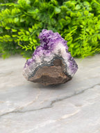 Amethist cluster pine by KEY LIME STORE