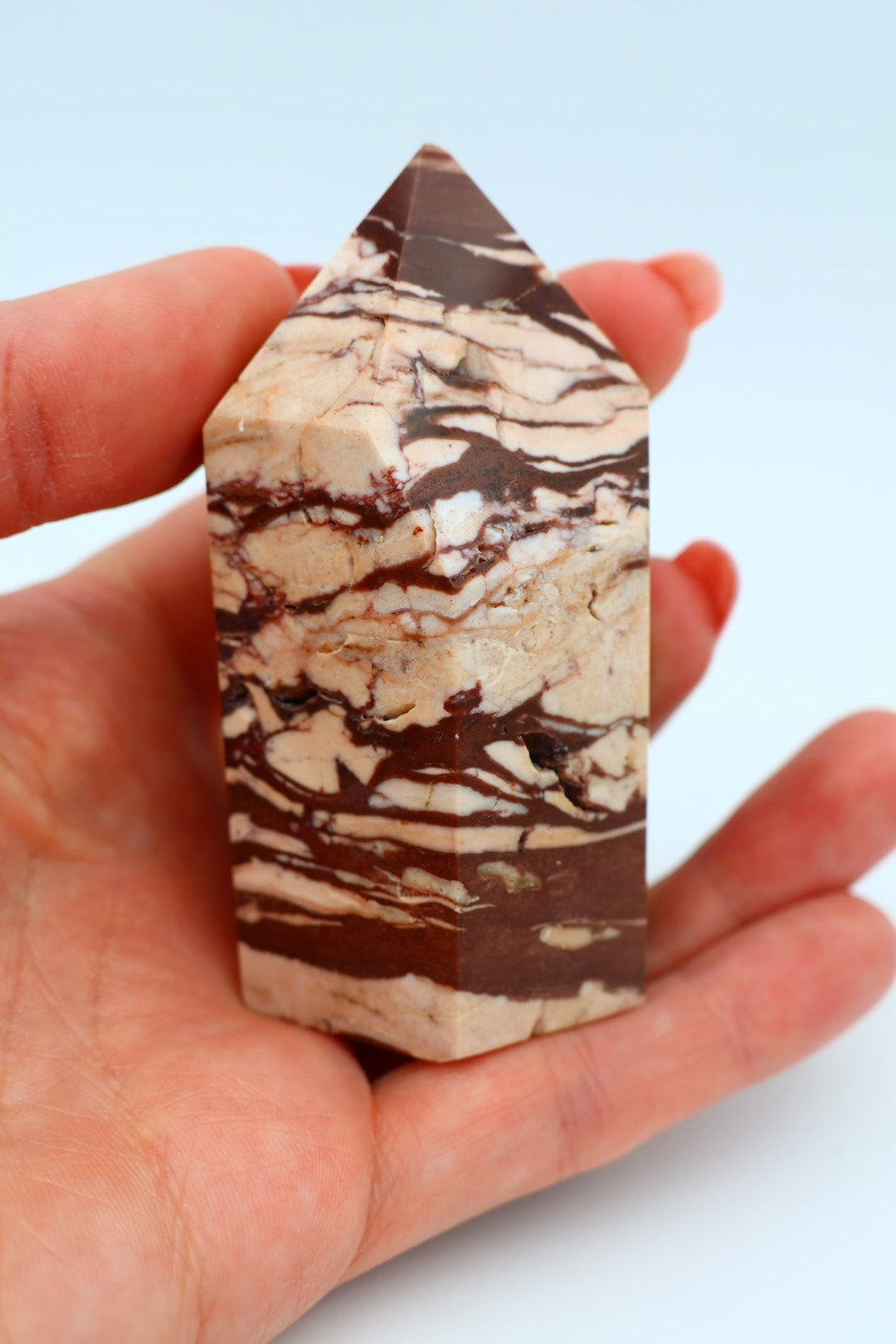 Zebra Jaspis 0.165 kg