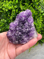 Amethist cluster pine by KEY LIME STORE