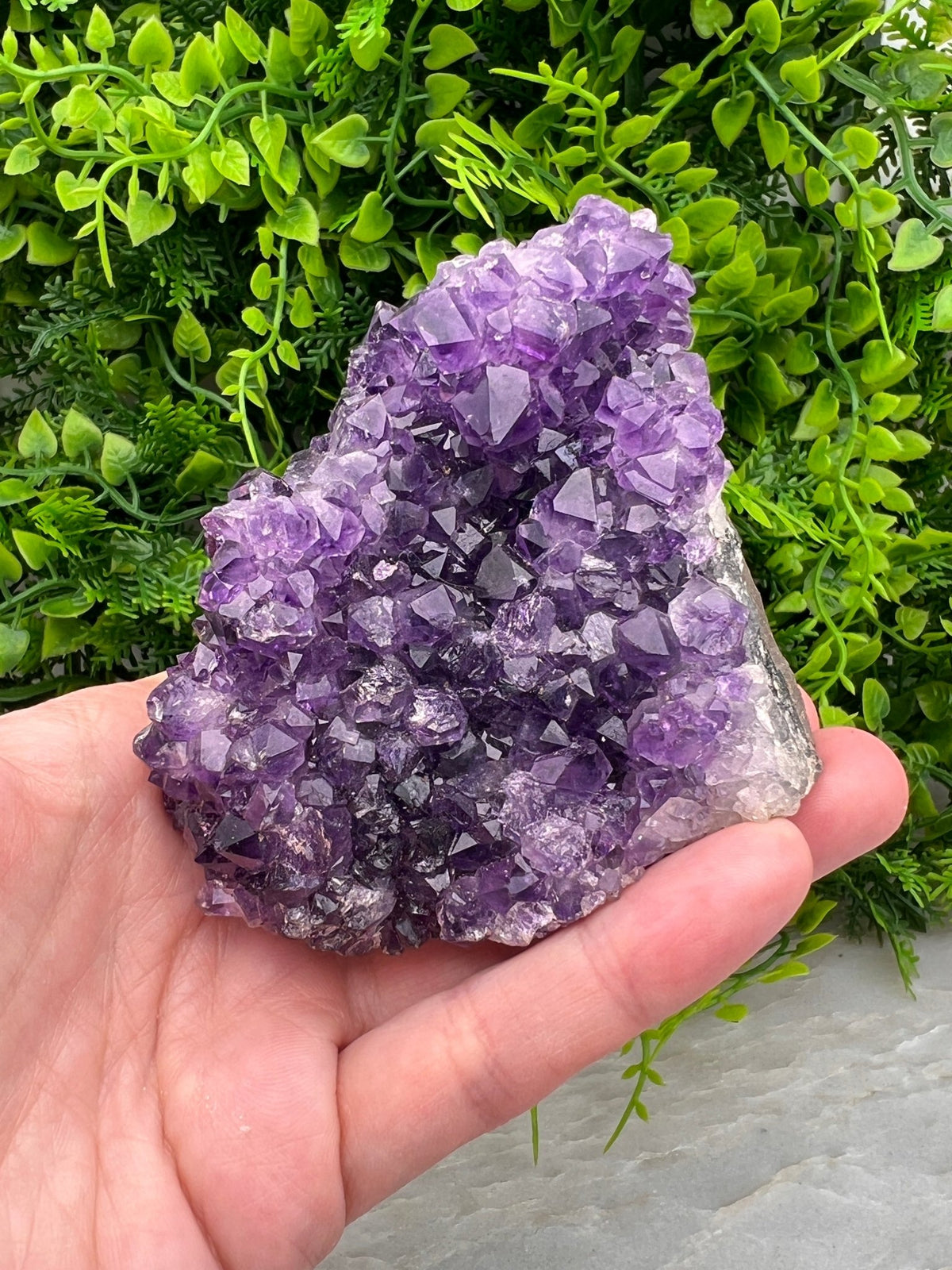 Amethist cluster pine by KEY LIME STORE