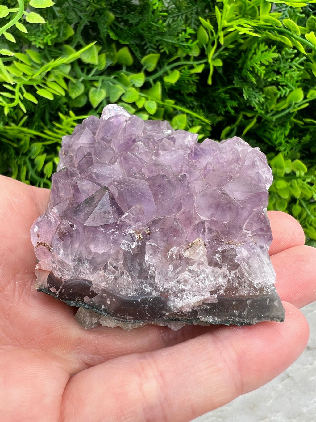 Amethyst-Cluster (8 cm) von KEY LIME STORE