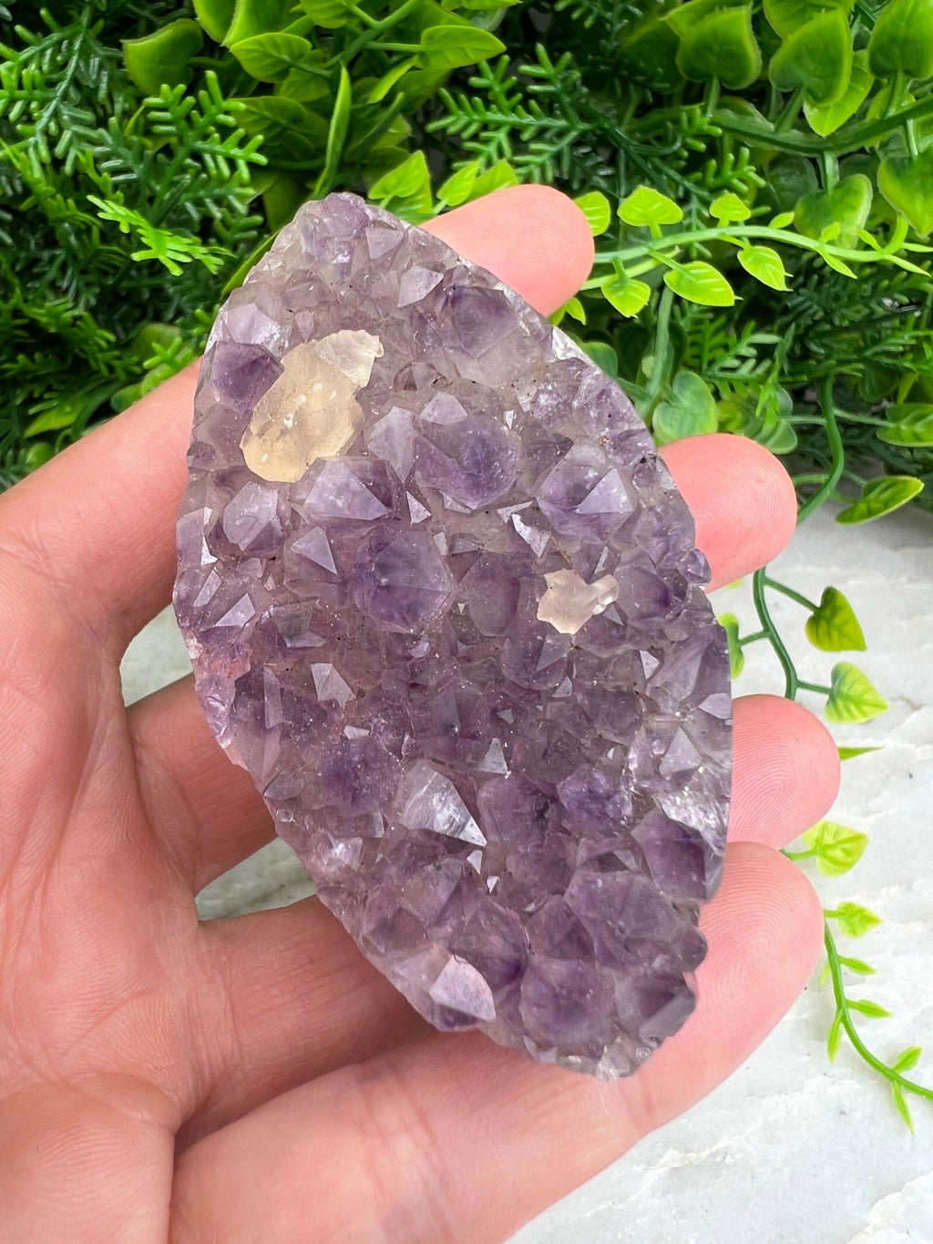 Amethyst, elliptisch (6 cm) von KEY LIME STORE