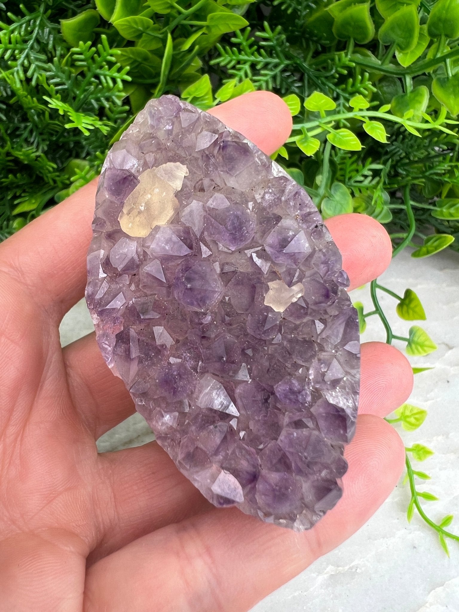 Amethyst, elliptisch (6 cm) von KEY LIME STORE