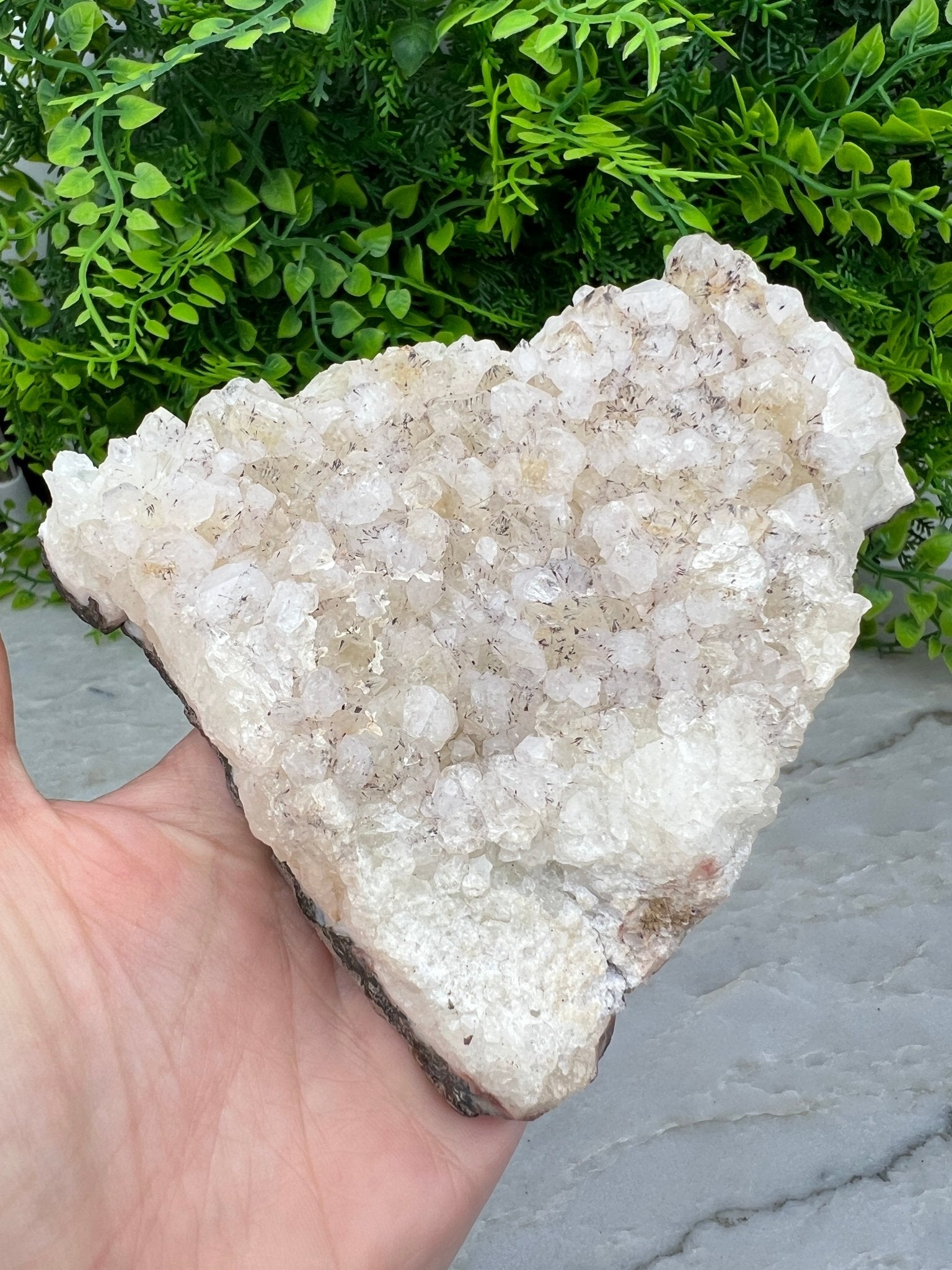 Apophyllit mit schwarzen Turmalin-Einschlüssen (12 cm) von KEY LIME STORE