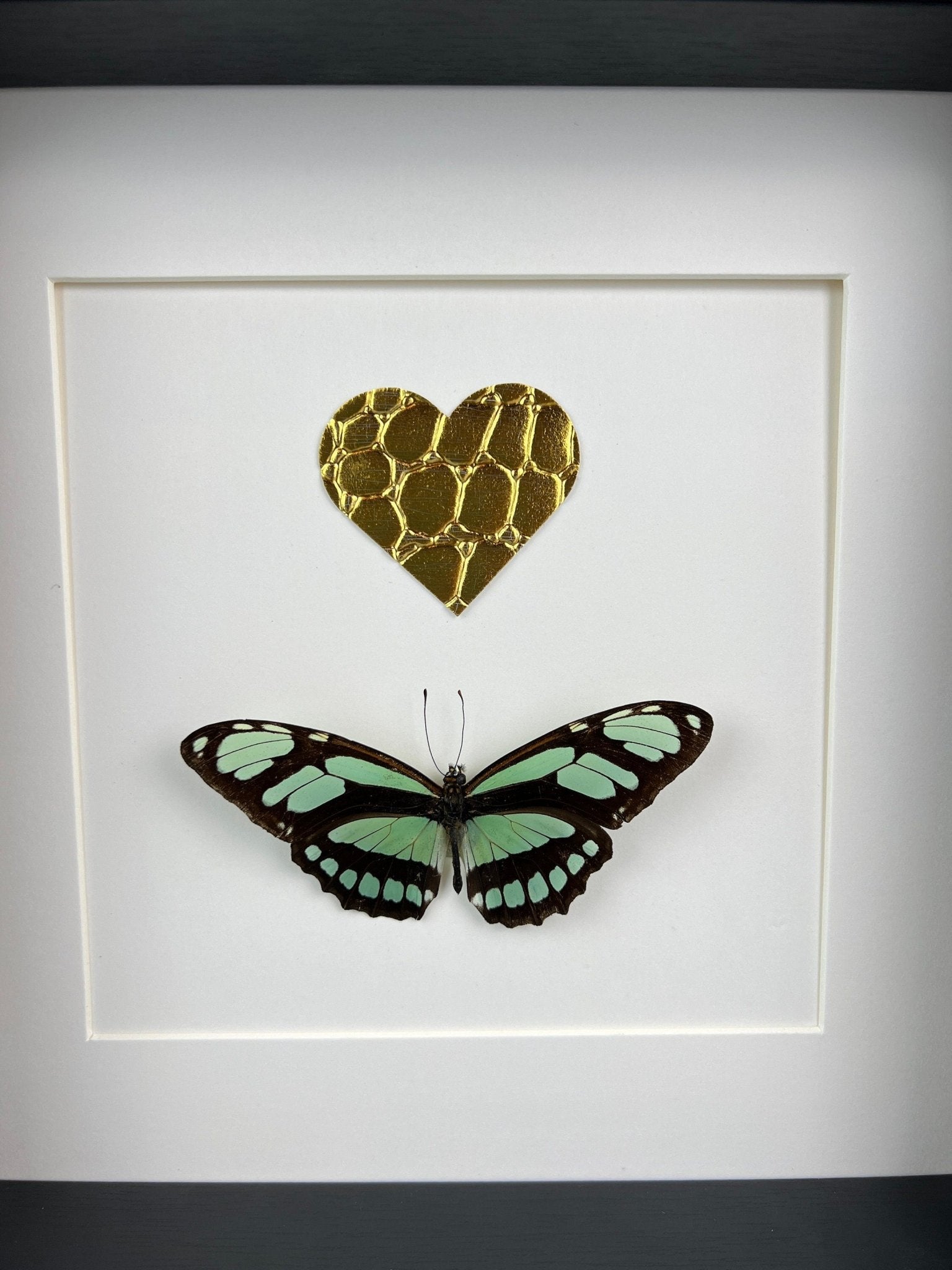 Philaethria Dido und ein goldenes Lederherz in einem Rahmen von KEY LIME STORE