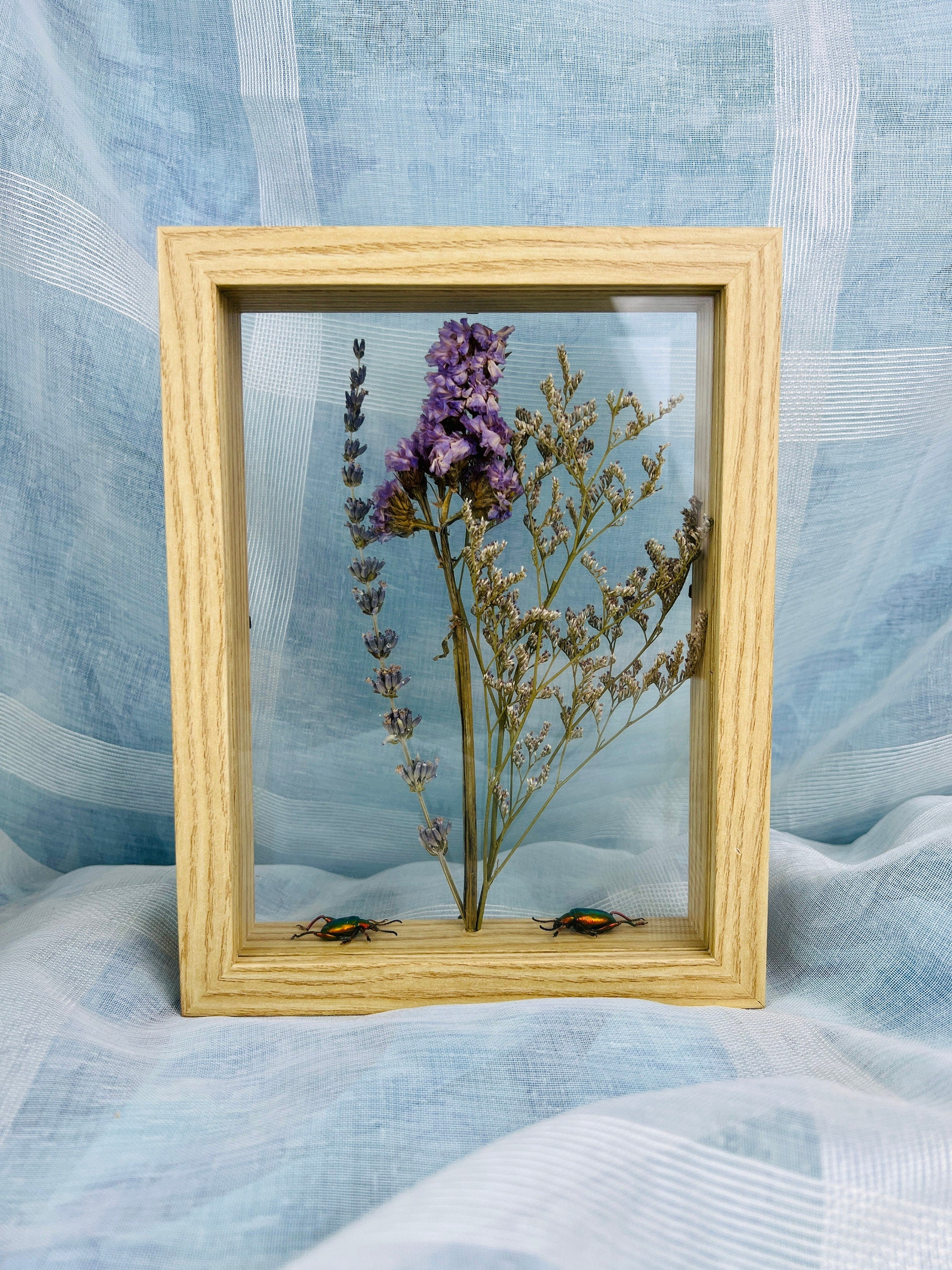 Echte insecten | Dubbelglas houten lijst met kevers en droogbloemen (22x17cm)