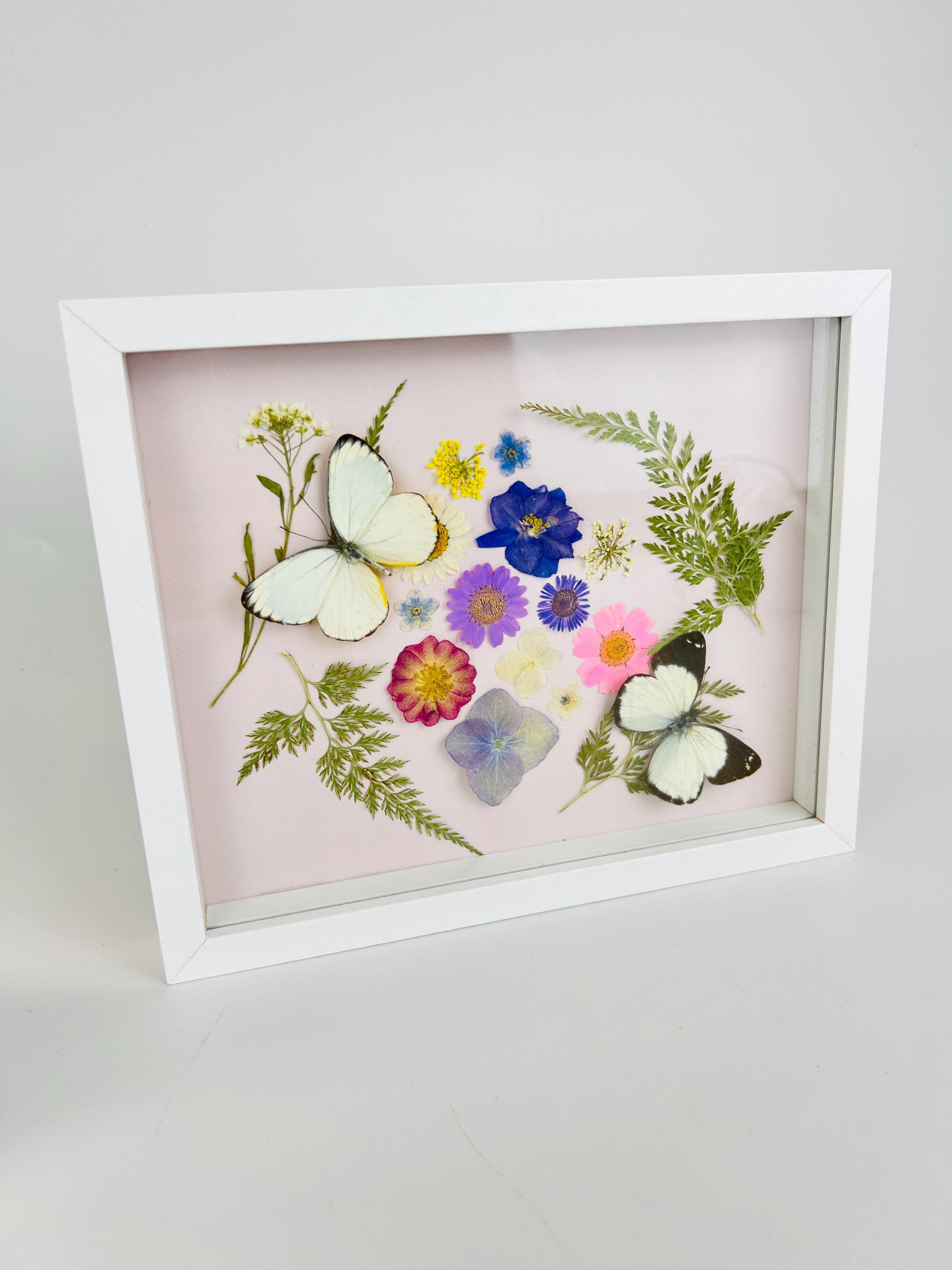 Weiße Schmetterlinge mit Trockenblumen in einem Rahmen