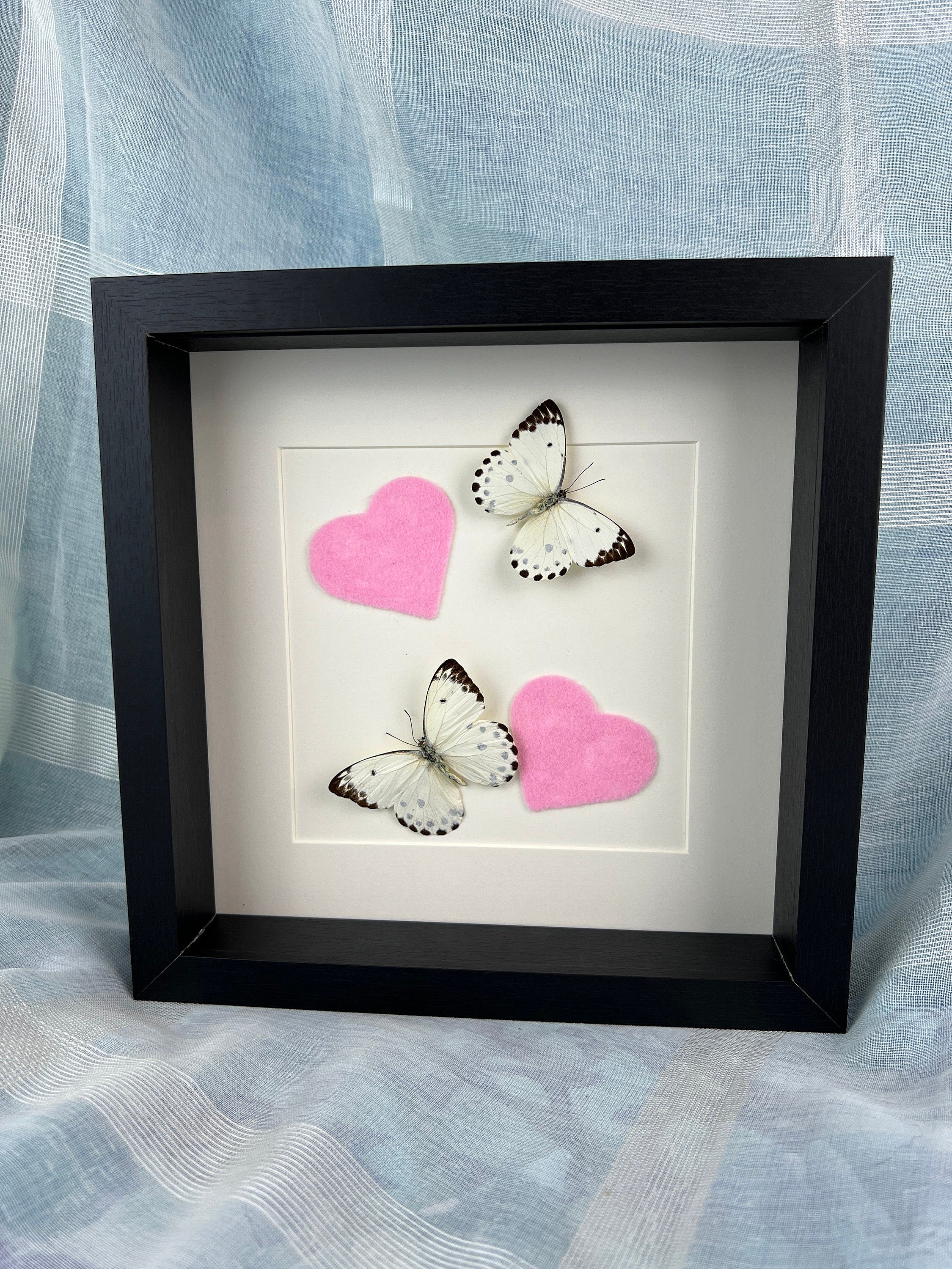 Belenois Calypso en roze vilten harten in lijst