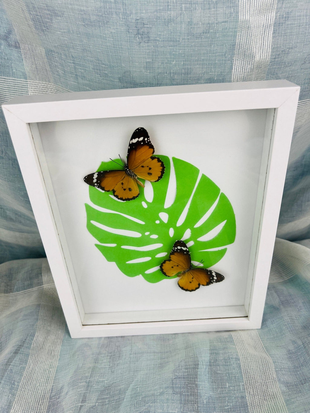 „Danaus Chrysippus“ auf Monstera-Druck, gerahmt von KEY LIME STORE