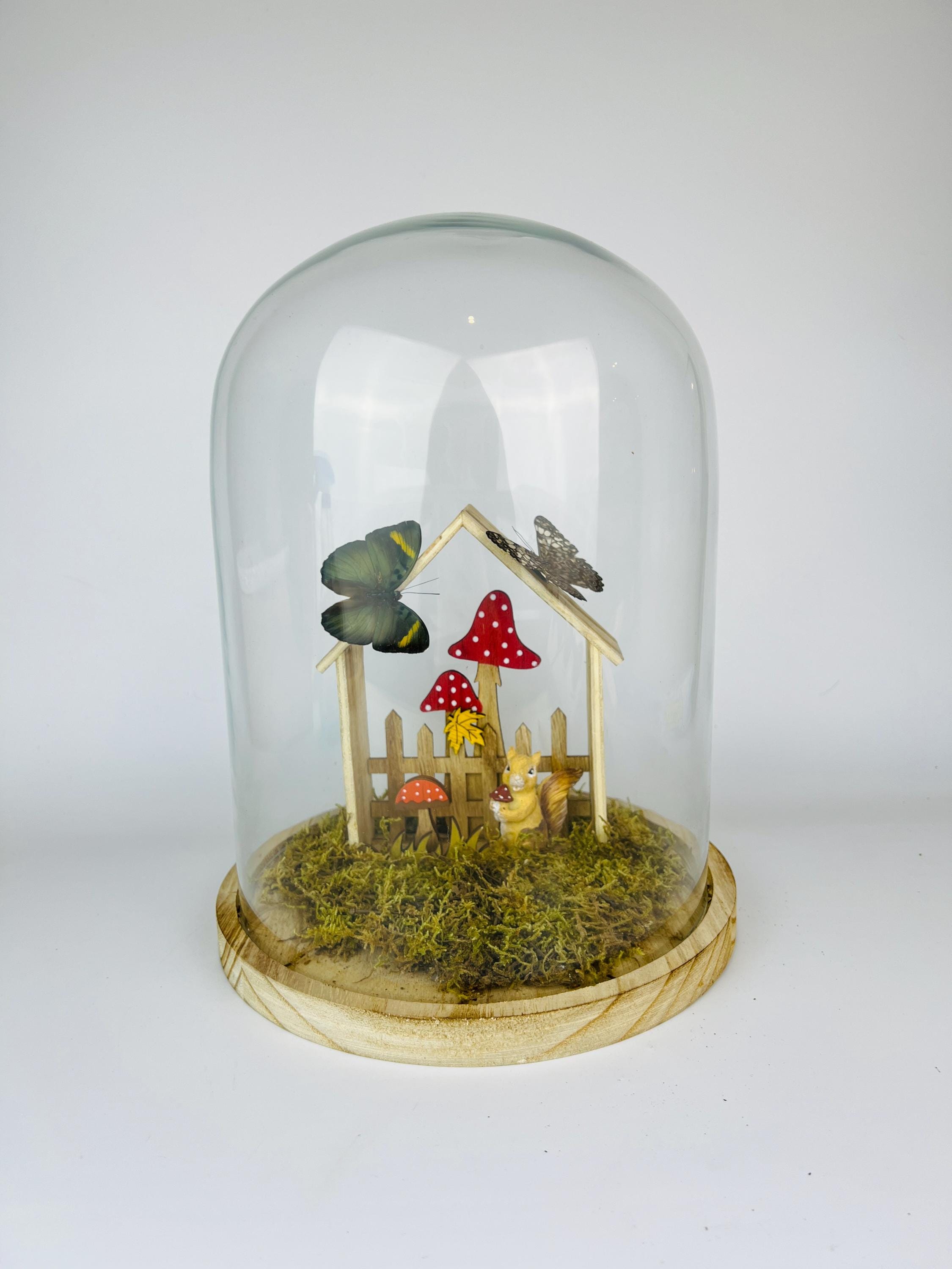 Twee vlinders op een tafereeltje in stolp