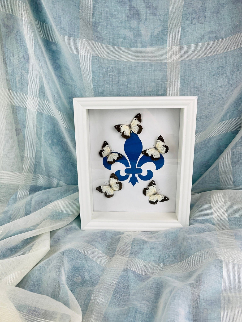 „Belenois“ mit „Fleur de Lis“-Motiv, gerahmt von KEY LIME STORE