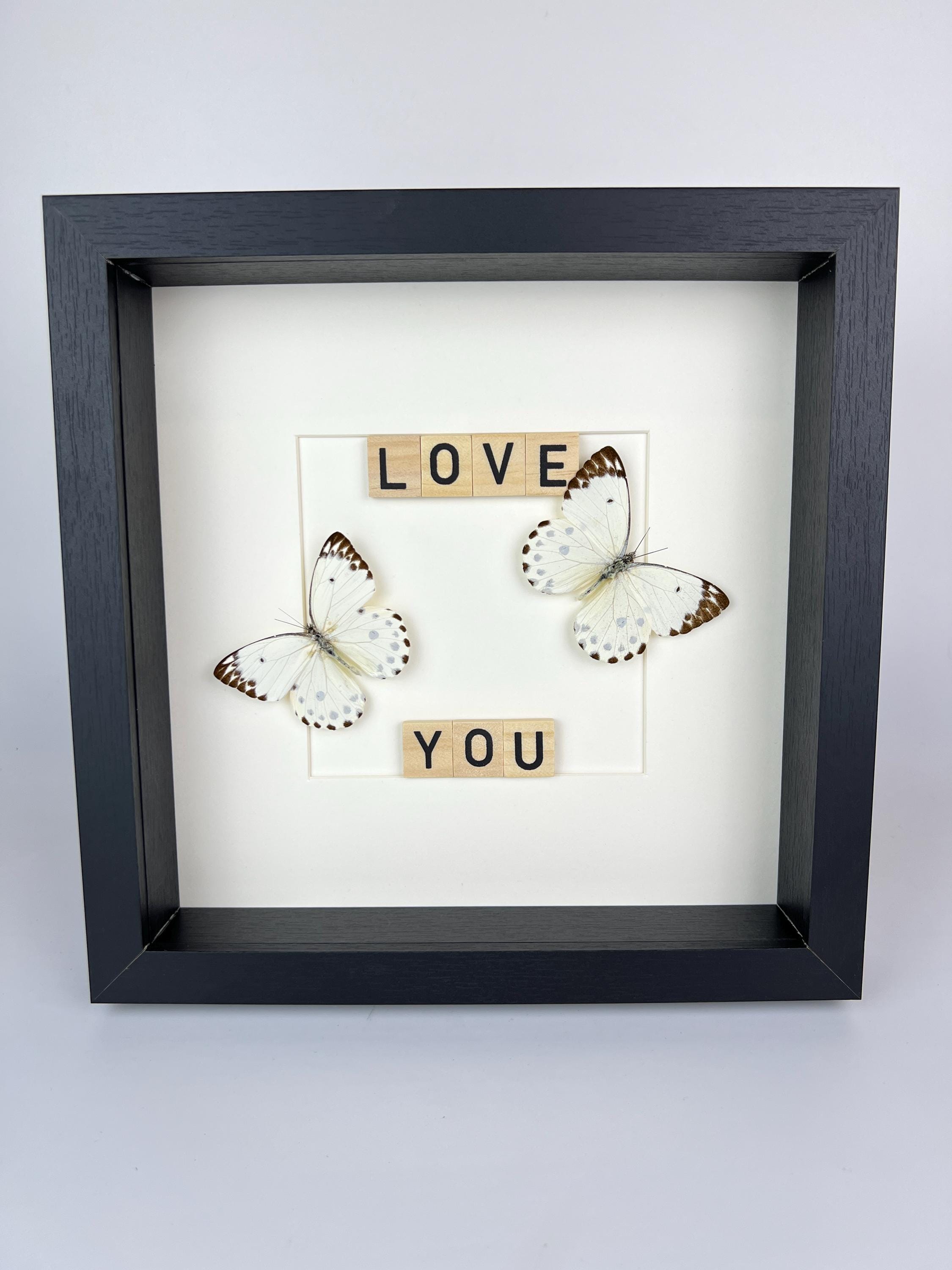 Hebemoia Leucippe Butterfly in lijst