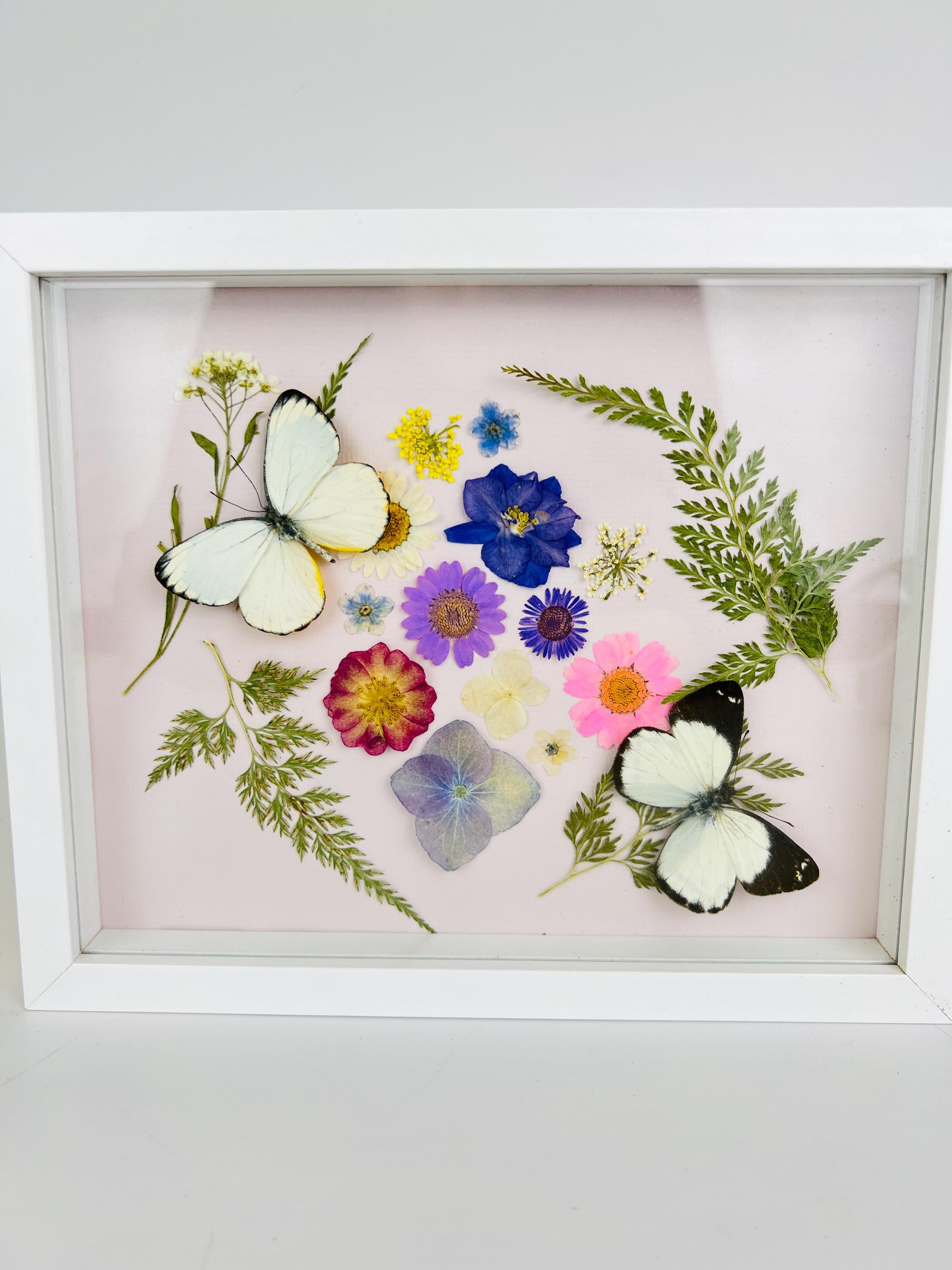 Weiße Schmetterlinge mit Trockenblumen in einem Rahmen