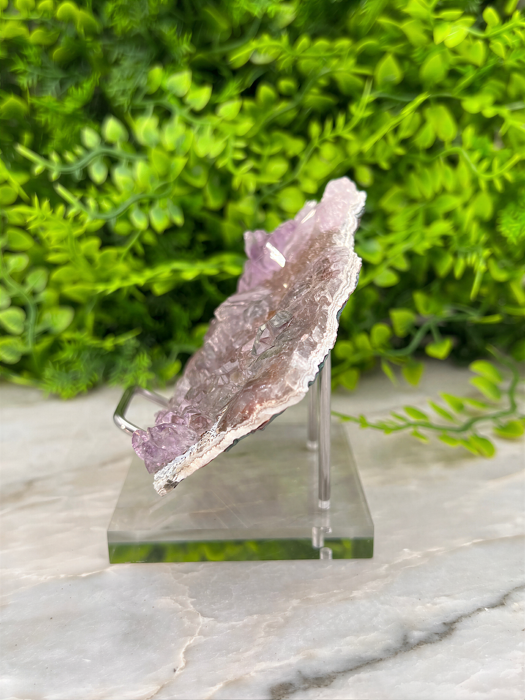 A piece of amethyst crystal is displayed on a clear glass stand, surrounded by lush green foliage.