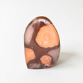 a single, unique rock with a striking color pattern of orange and brown hues.
