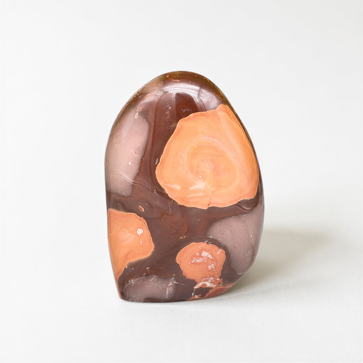 a single, unique rock with a striking color pattern of orange and brown hues.