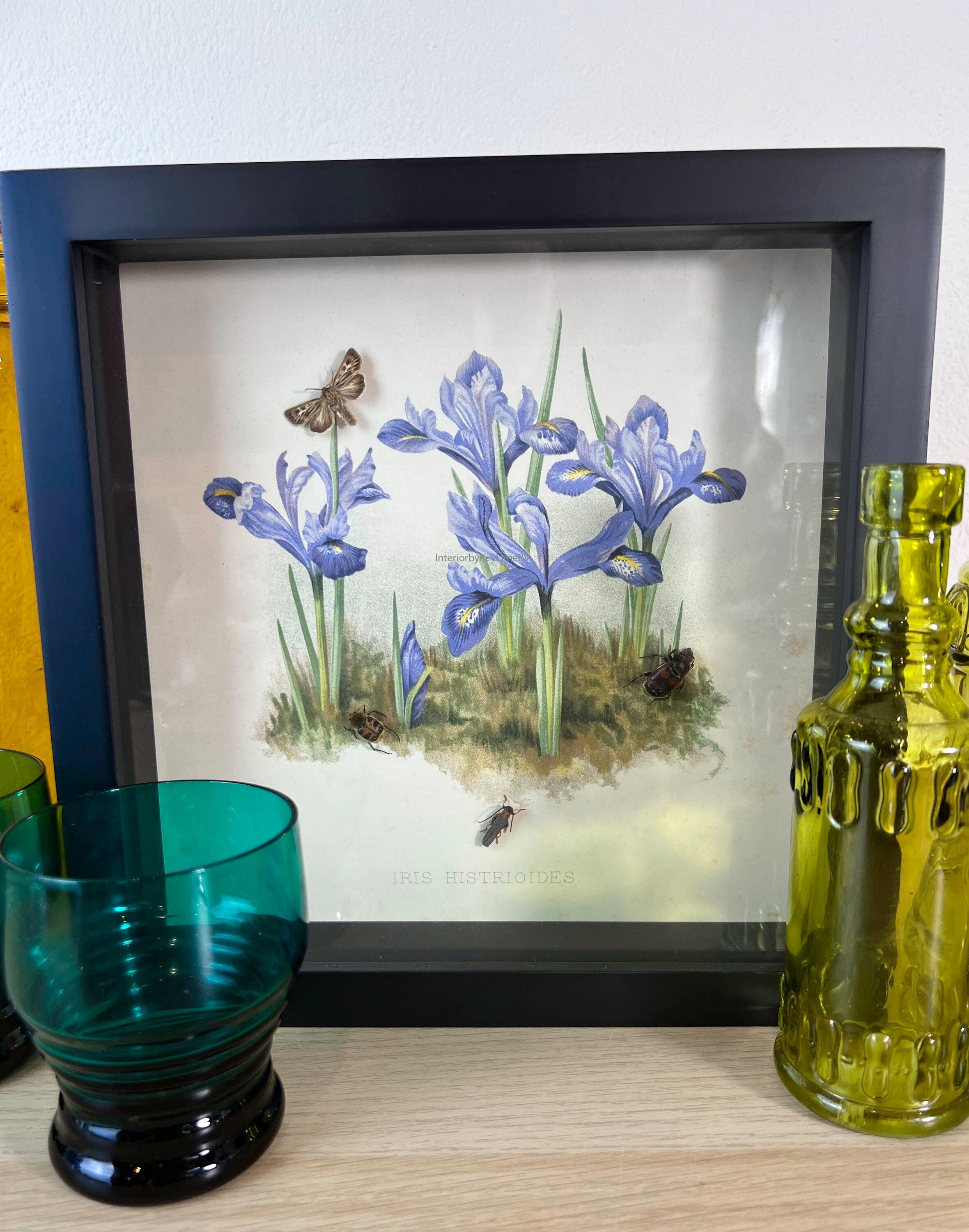 Insecten op print in lijst