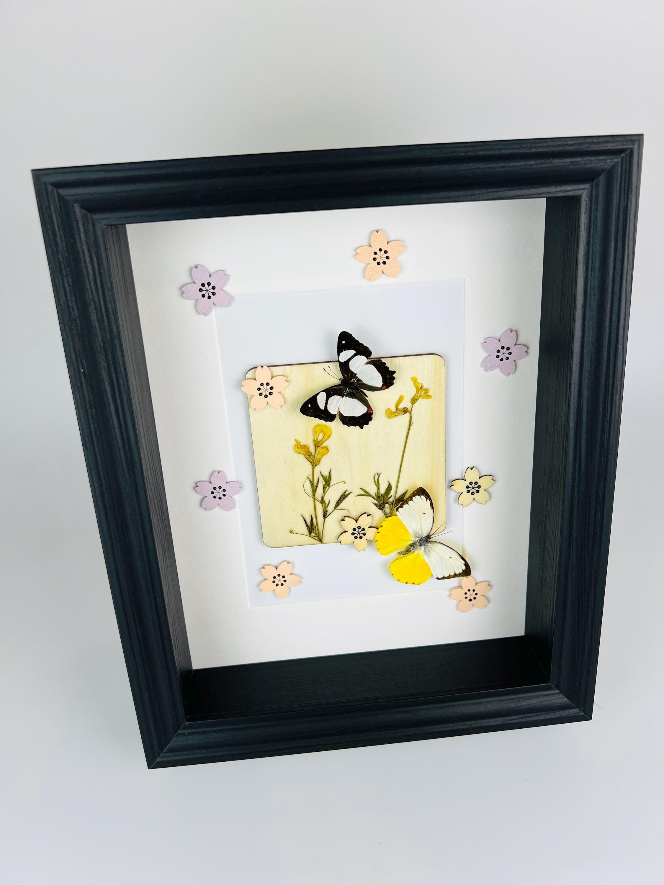 Schmetterlinge mit Trockenblumen und Dekoration im Rahmen