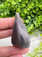 A hand holding a dark, triangular-shaped rock with a jagged edge, set against a background of green leaves.