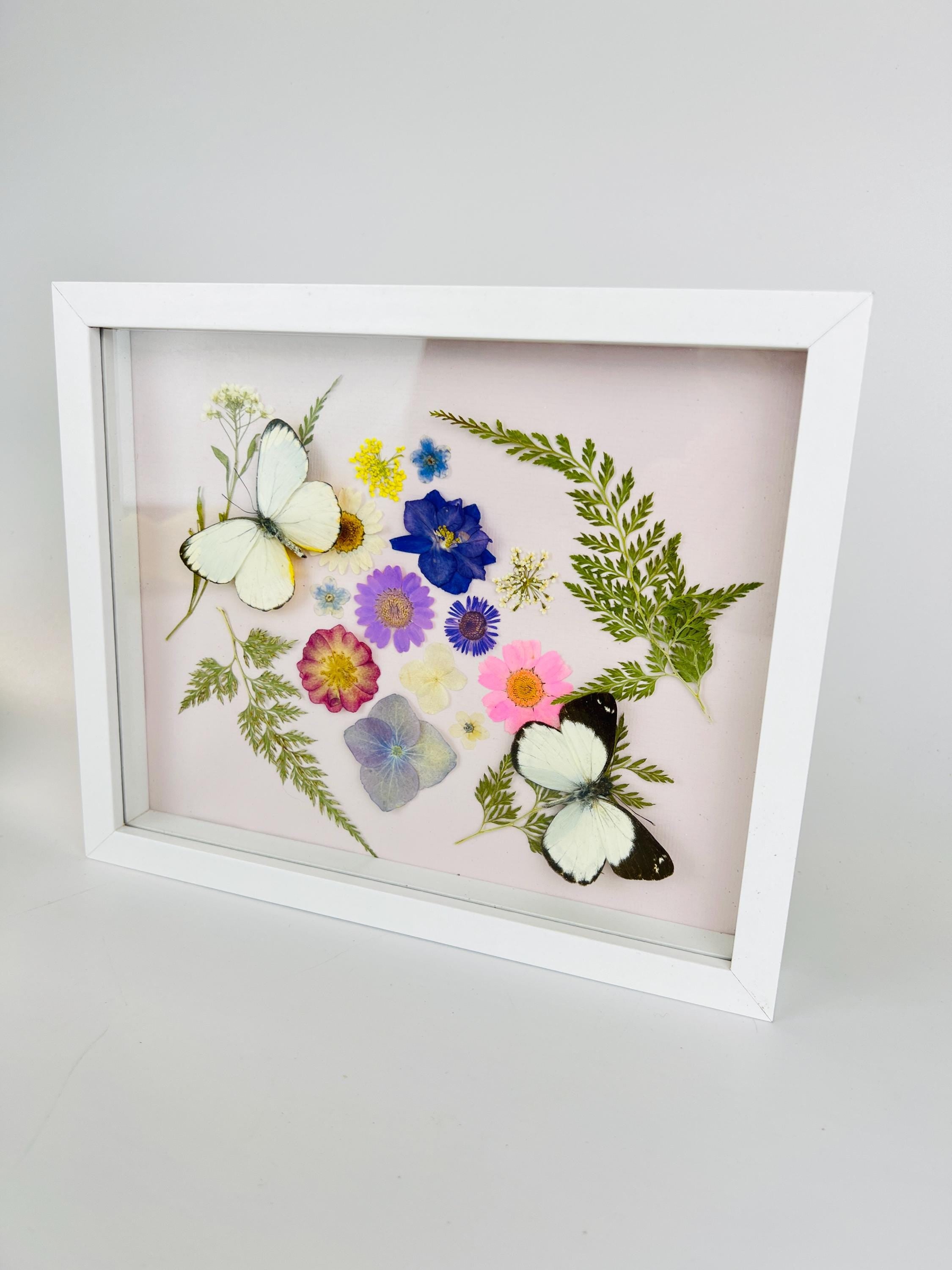 Weiße Schmetterlinge mit Trockenblumen in einem Rahmen