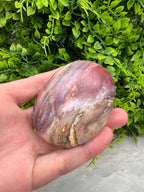 Versteend hout handsteen