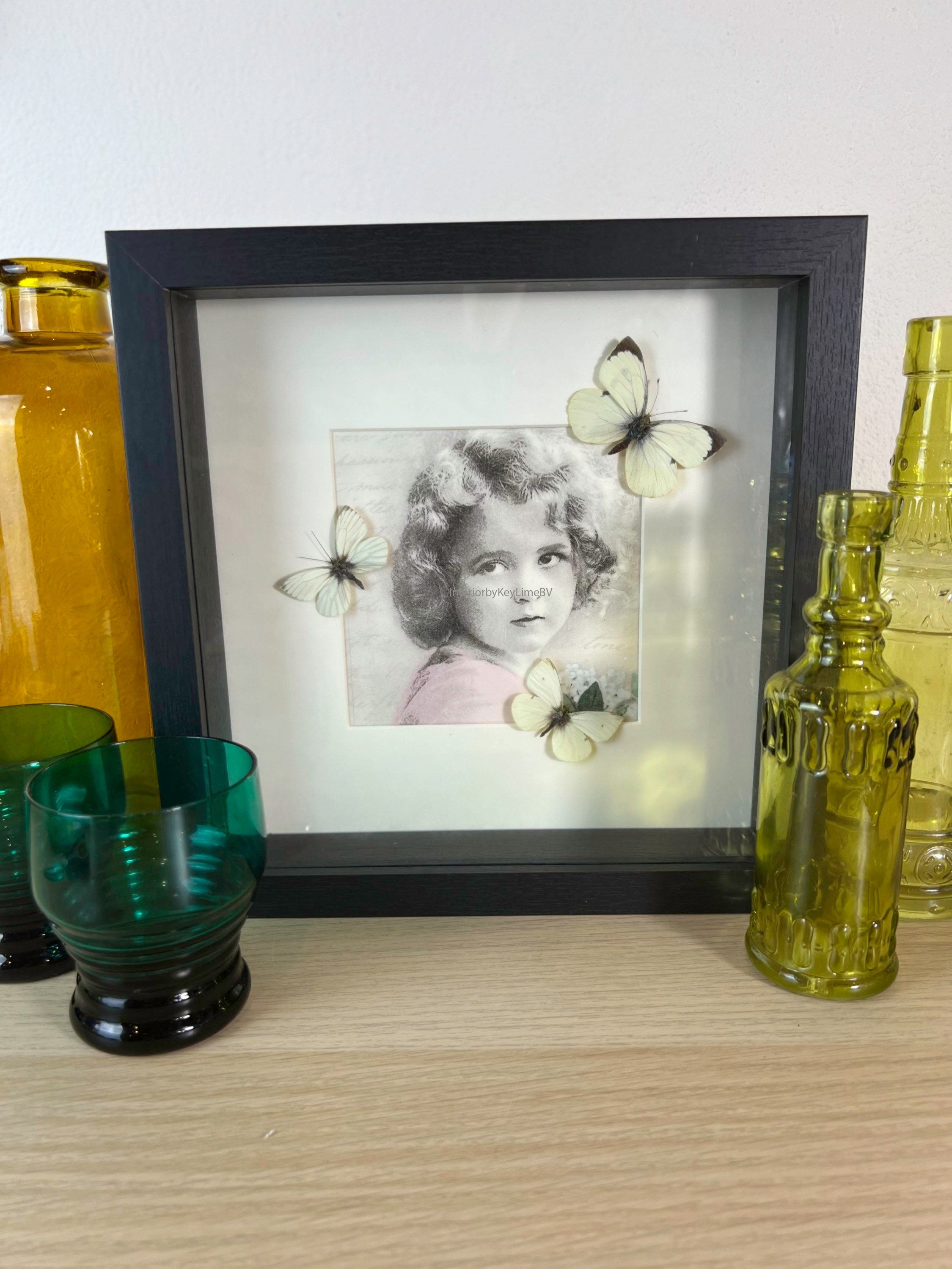 Weiße Schmetterlinge auf Vintage-Druck in einem Rahmen