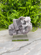 a piece of amethyst crystal displayed on a clear glass stand, with a background of green foliage.