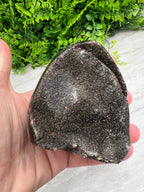 Druzy Septarie ei-vorm cut base (532 gram) by KEY LIME STORE
