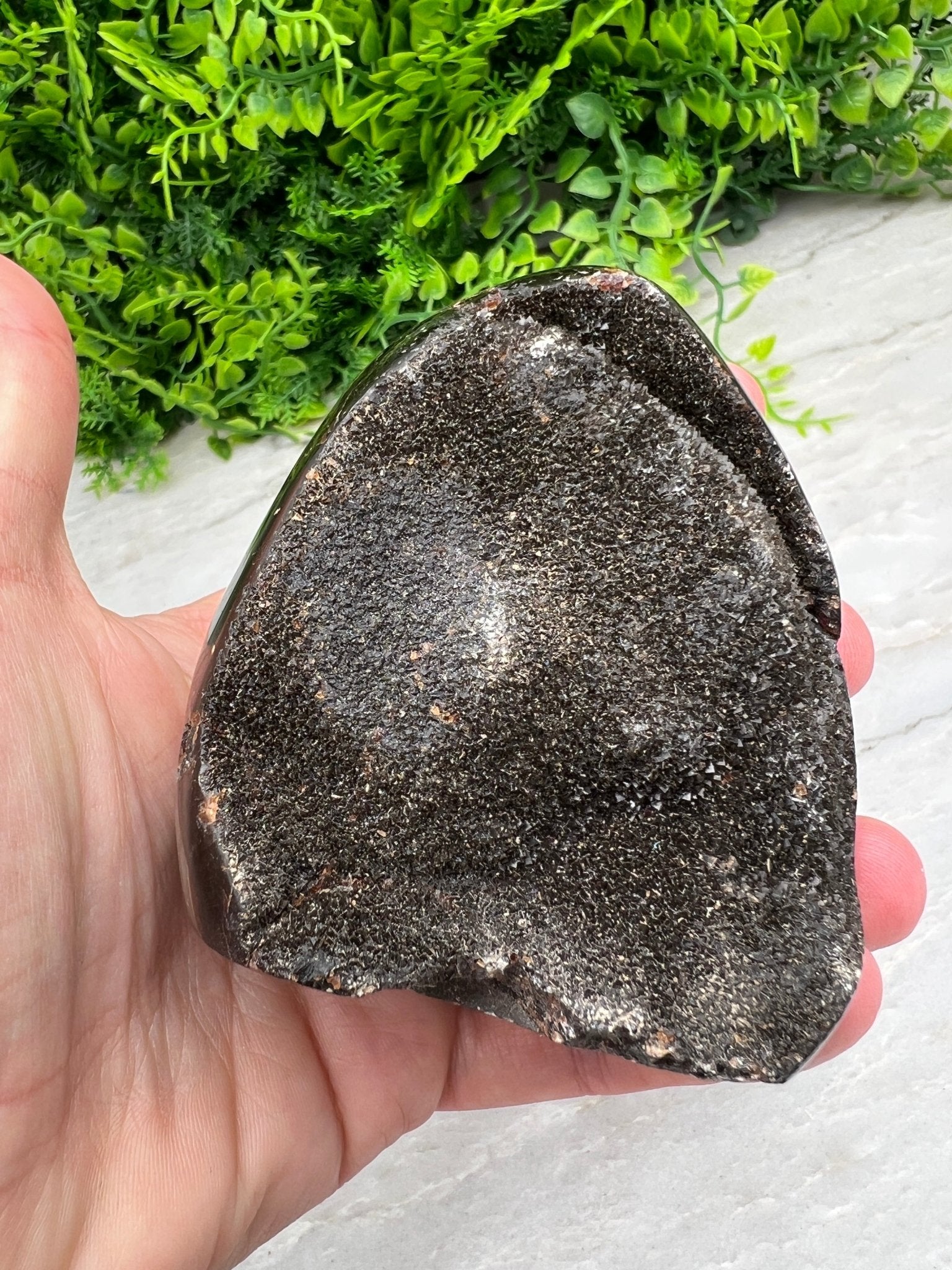 Druzy-Septarie, eiförmig geschliffen, mit Sockel (532 Gramm) von KEY LIME STORE