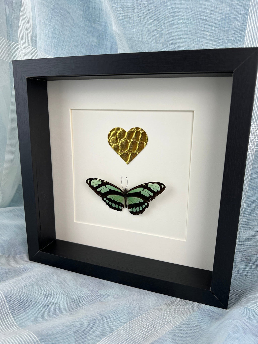 Philaethria Dido und ein goldenes Lederherz in einem Rahmen von KEY LIME STORE
