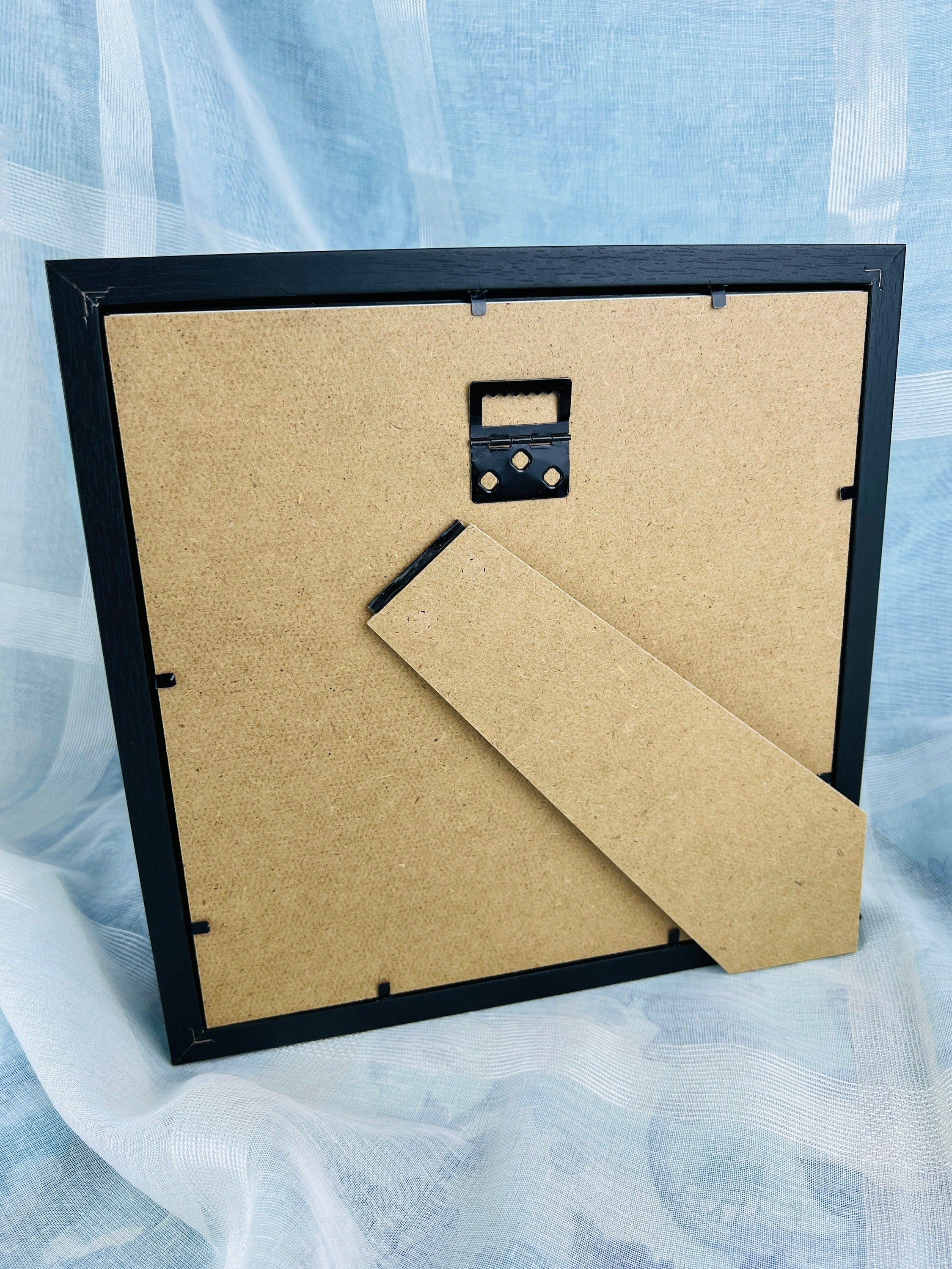 Papilio Delalandei im Rahmen