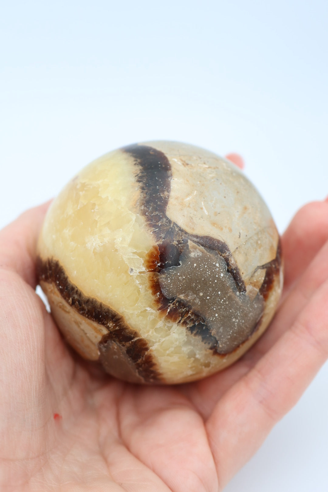 Septarie bol 0.375 gram